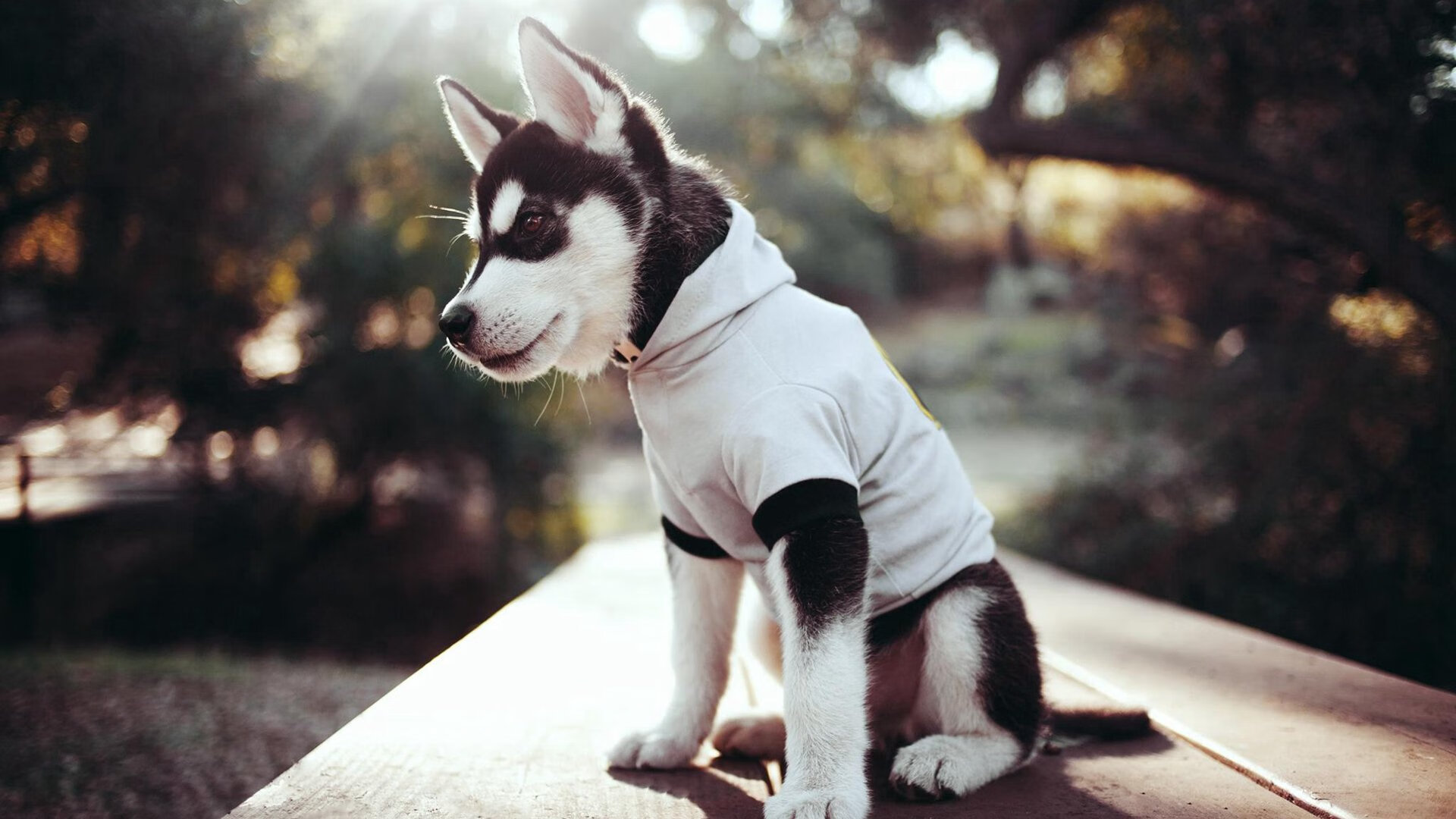 亚洲杯U23国足战平 球迷分析比赛走势，u23亚洲杯中国队成绩