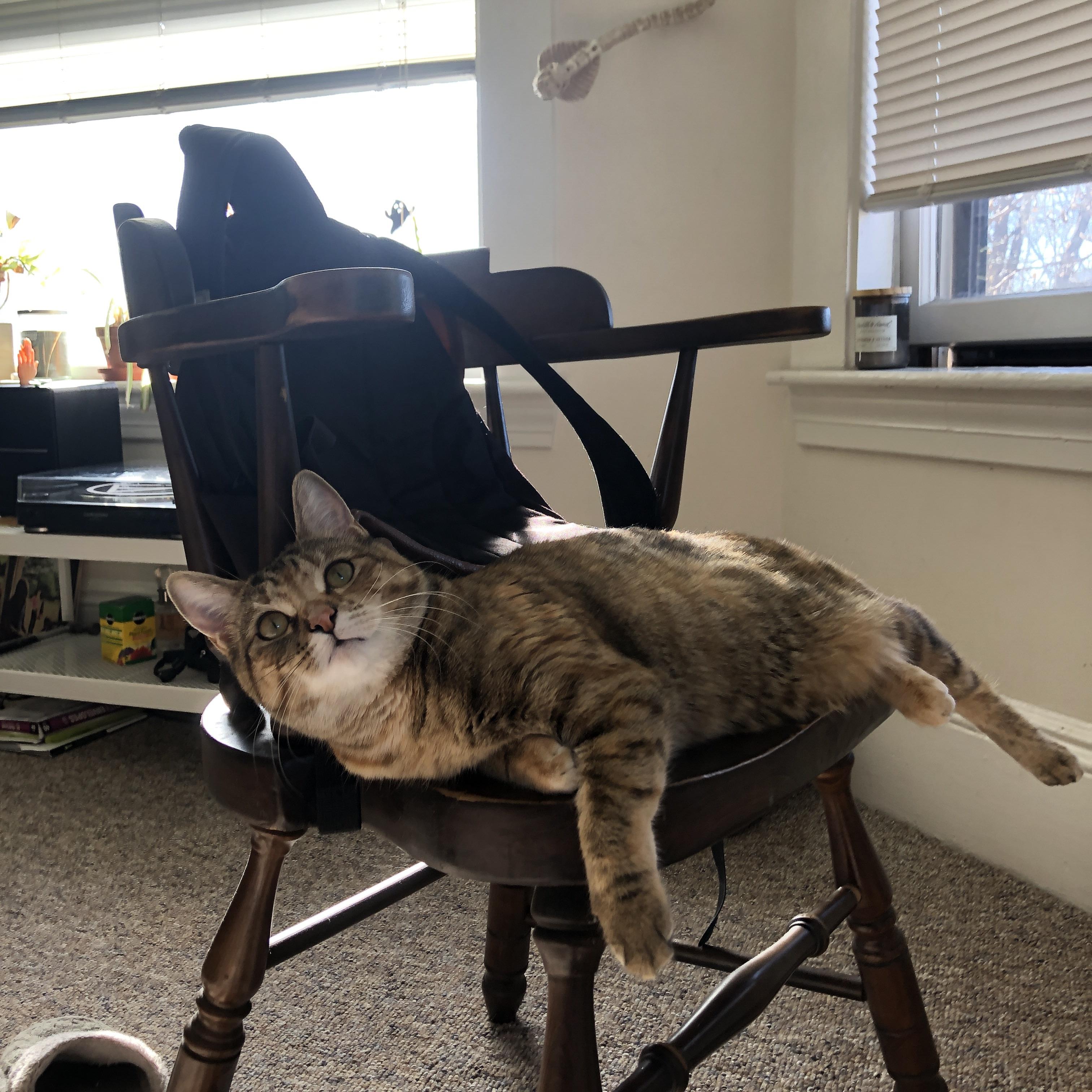 球探眼中的未来超级巨星，球探大师