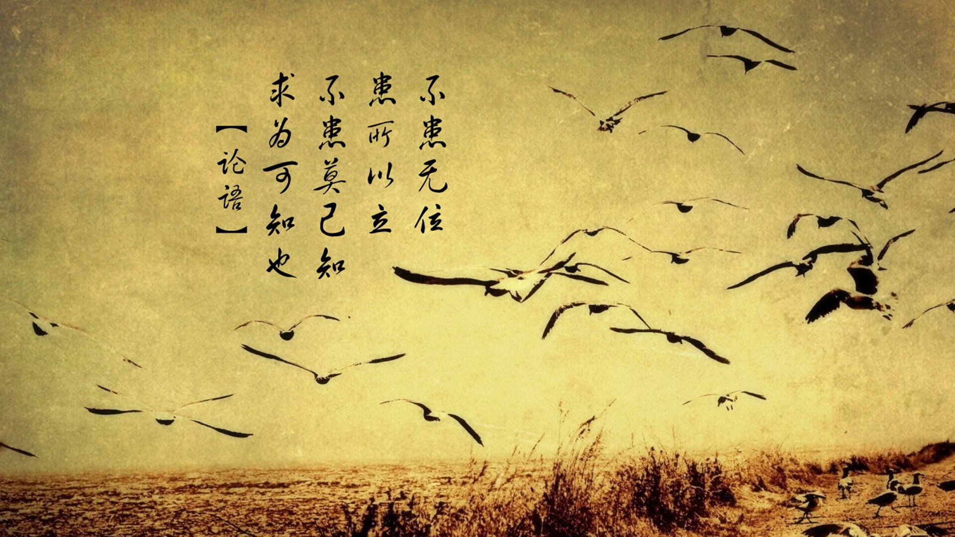 职业联赛品牌缺少国际辨识度