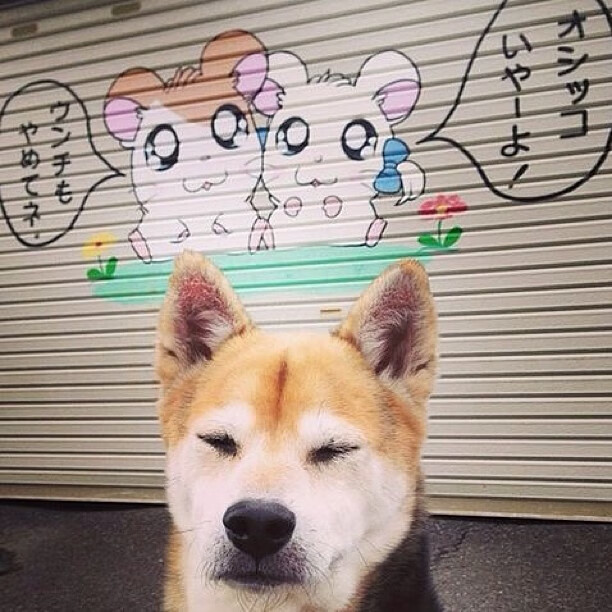 职业联赛品牌缺少国际辨识度